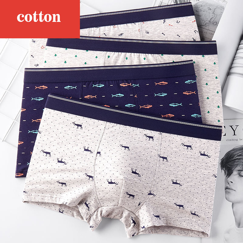 4 adet/grup baksır şort erkek  - Boxer Brief Pack Cotton incelemesi ve fiyatı